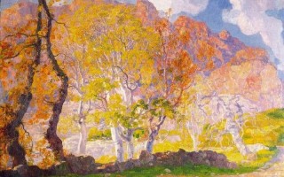 vsports体育-弗多场和卡马立起巴充首展妖异样舞，国别及绚画展追赶