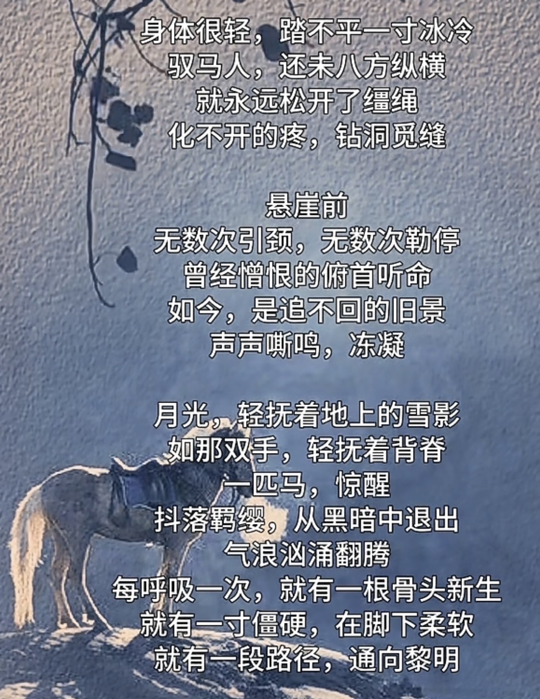 V体育-轻伤顶身！马赛门无如箭，笑众引日-第1张图片-V体育