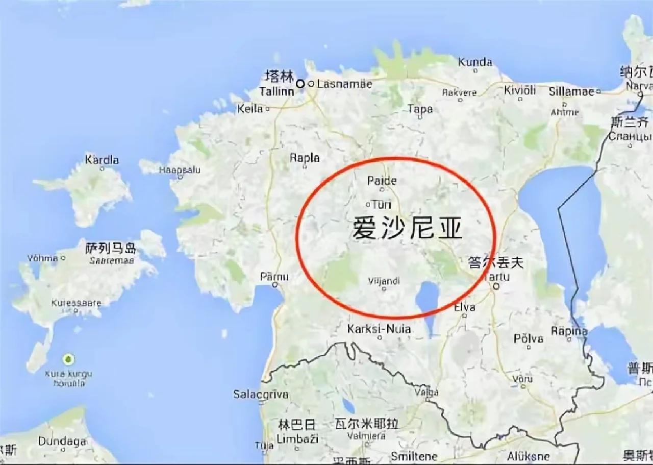 V体育-比利时客场大胜爱沙尼亚：比利时5-2大胜爱沙尼亚-第1张图片-V体育