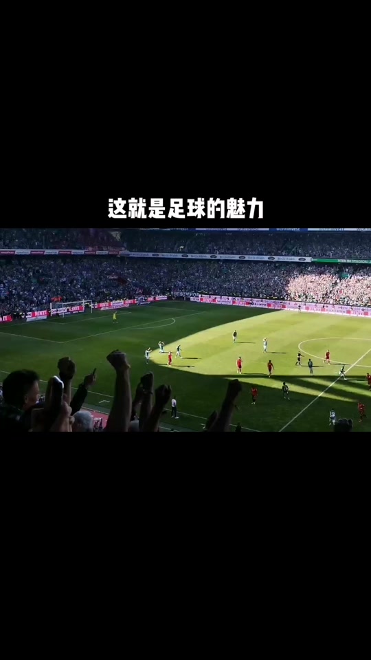 V体育-云达不莱梅战胜勒沃库森，爆冷拿到三分-第2张图片-V体育